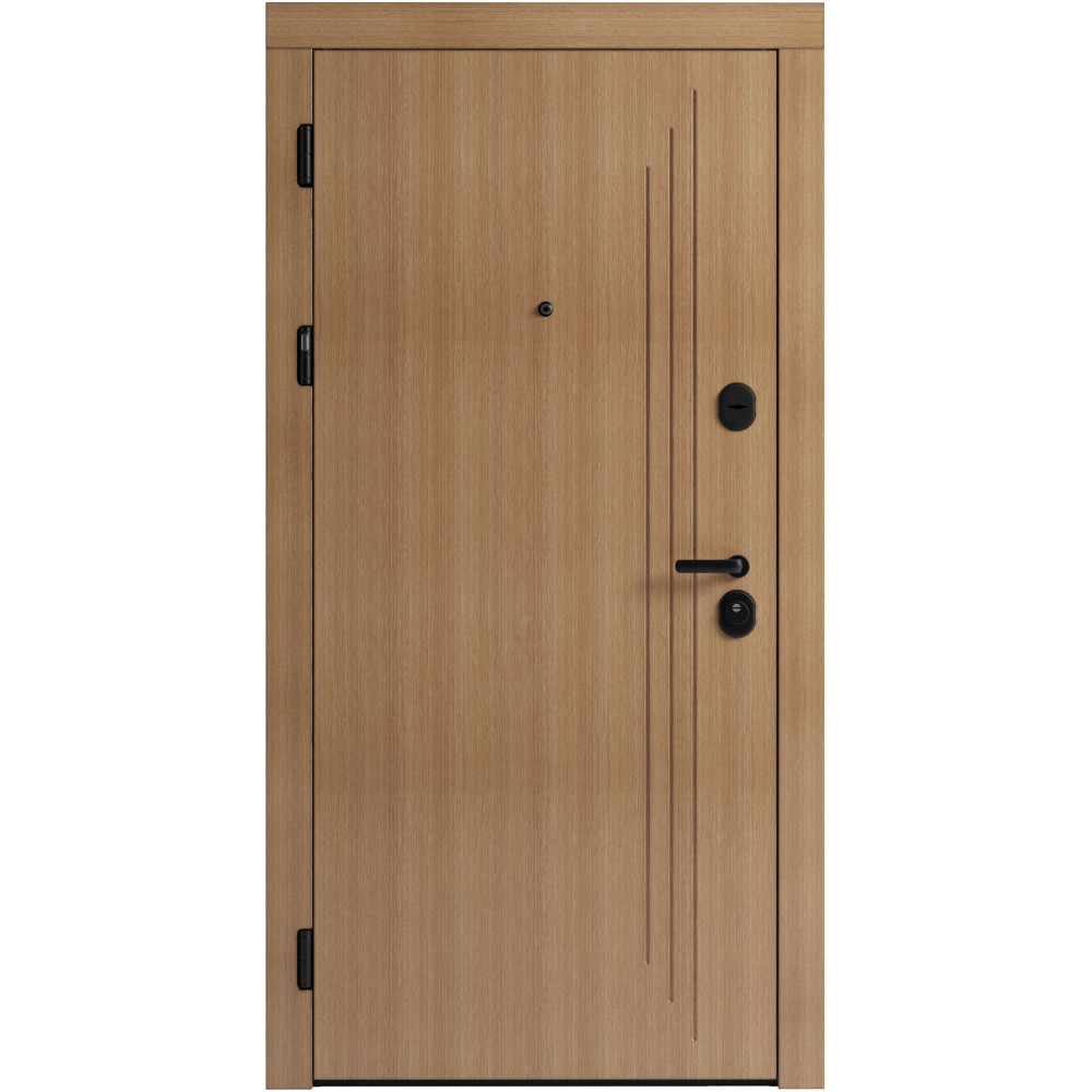 Вхідні двері F 103 для вулиці