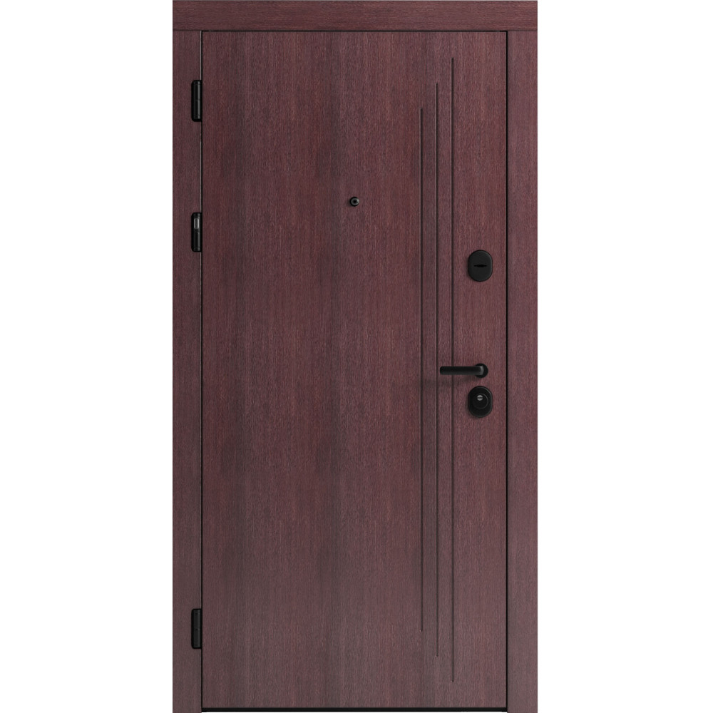 Вхідні двері F 103 для вулиці