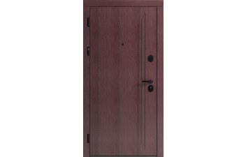 Вхідні двері F 103 для вулиці