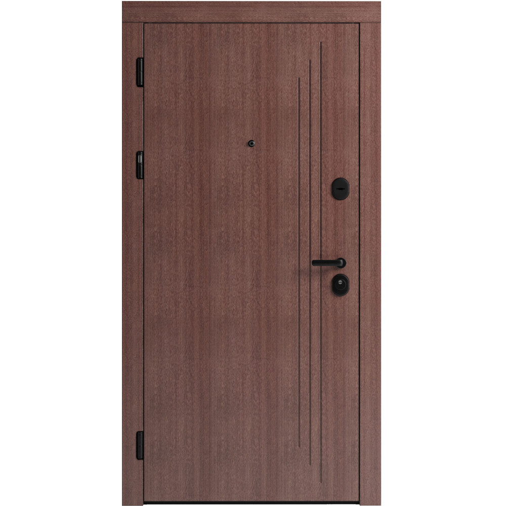 Вхідні двері F 103 для вулиці