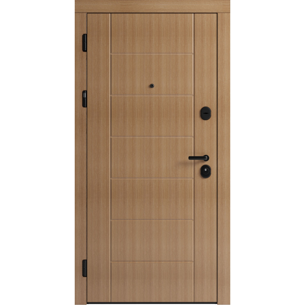 Вхідні двері F 106 для вулиці