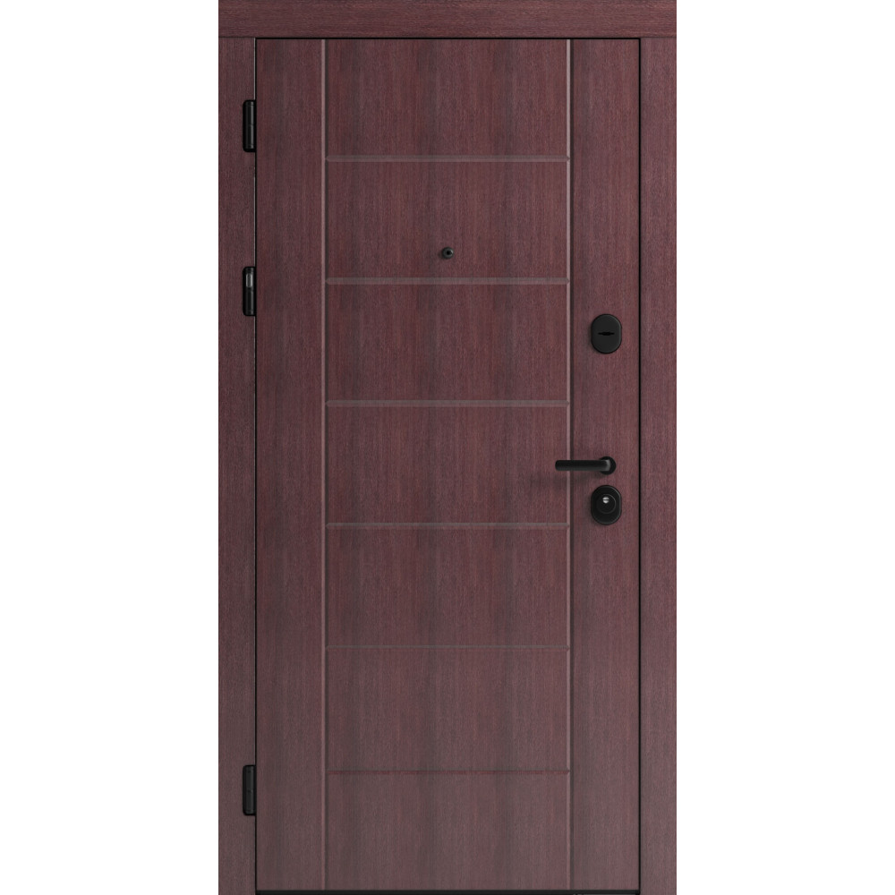 Вхідні двері F 106 для вулиці