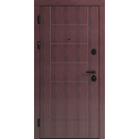 Вхідні двері F 106 для вулиці