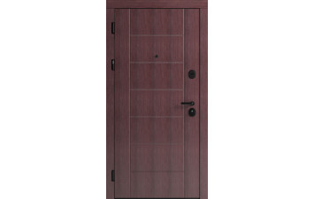 Вхідні двері F 106 для вулиці
