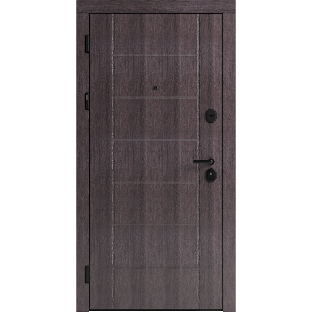 Вхідні двері F 106 для вулиці