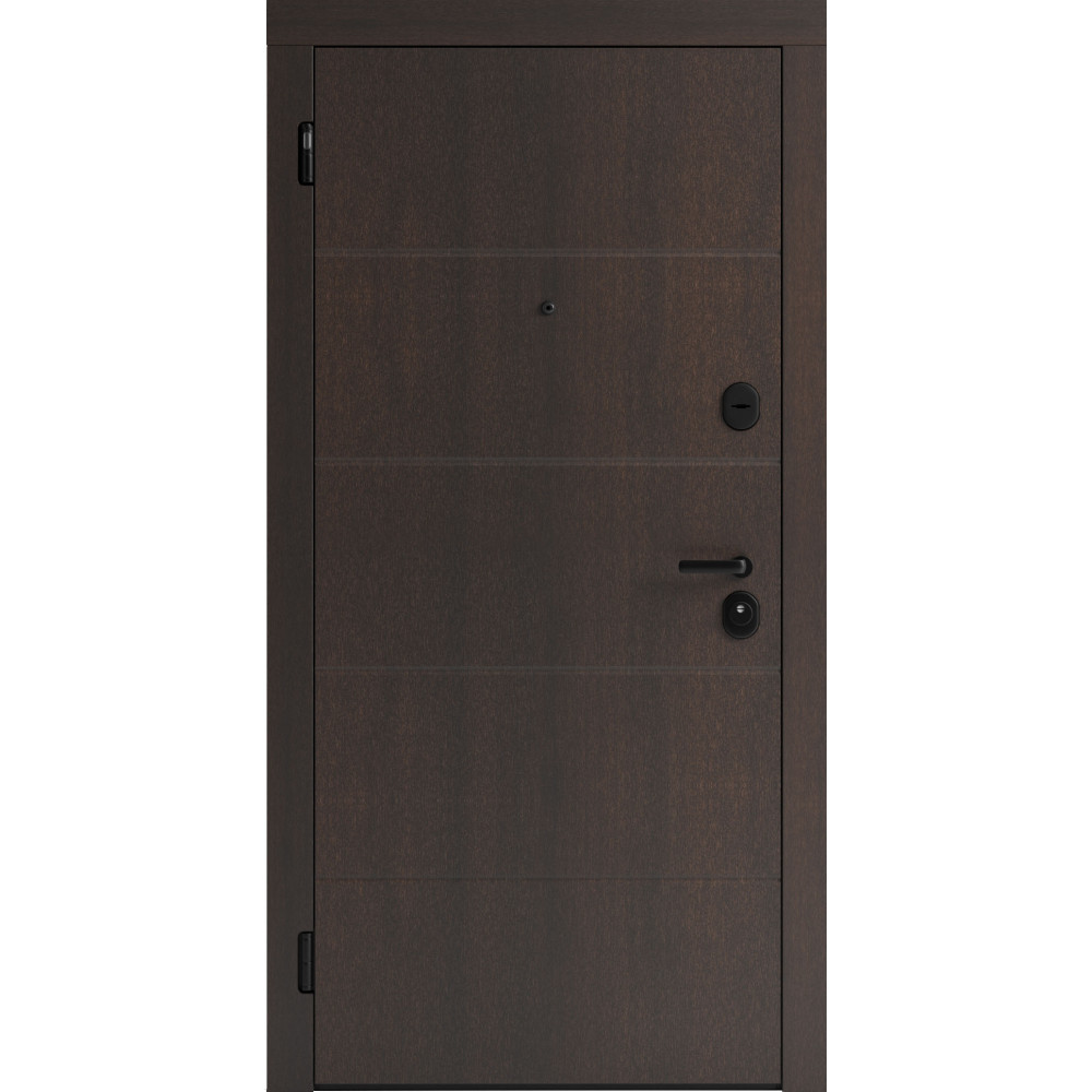 Вхідні двері F 107 для вулиці