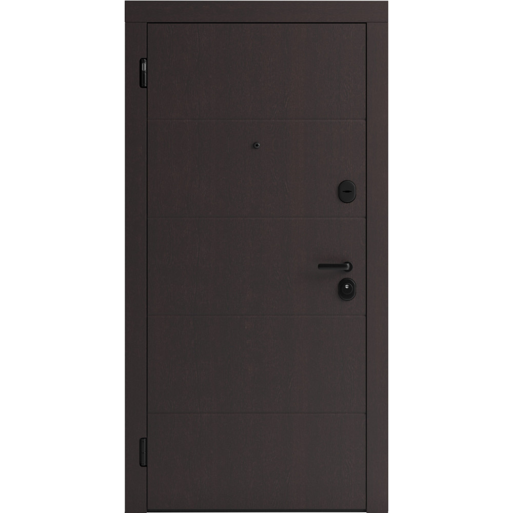 Вхідні двері F 107 для вулиці