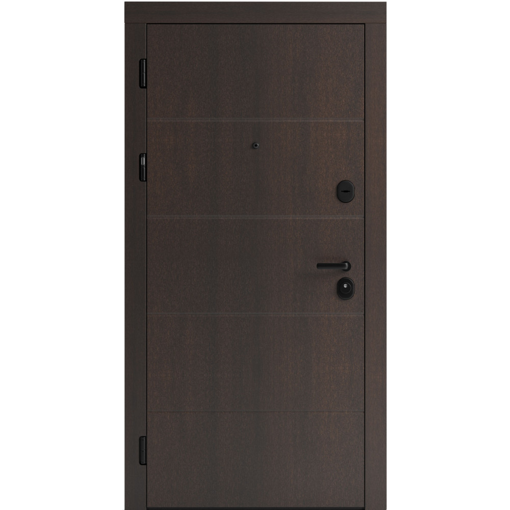 Вхідні двері F 107 для вулиці