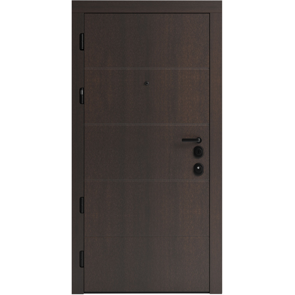 Вхідні двері F 107 для вулиці