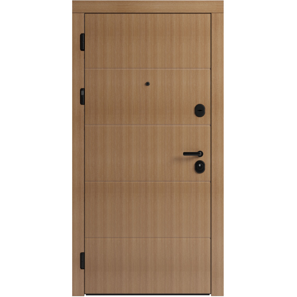 Вхідні двері F 107 для вулиці