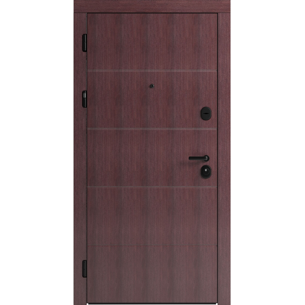 Вхідні двері F 107 для вулиці