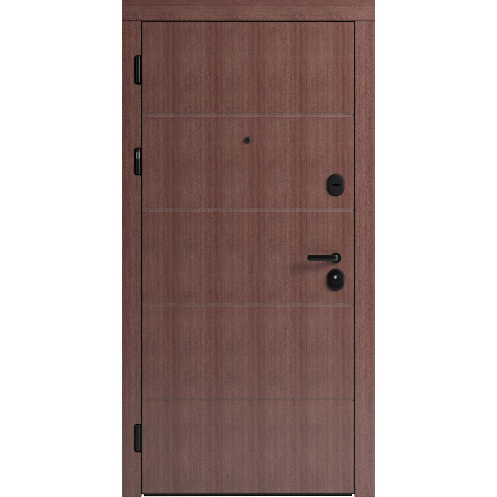 Вхідні двері F 107 для вулиці