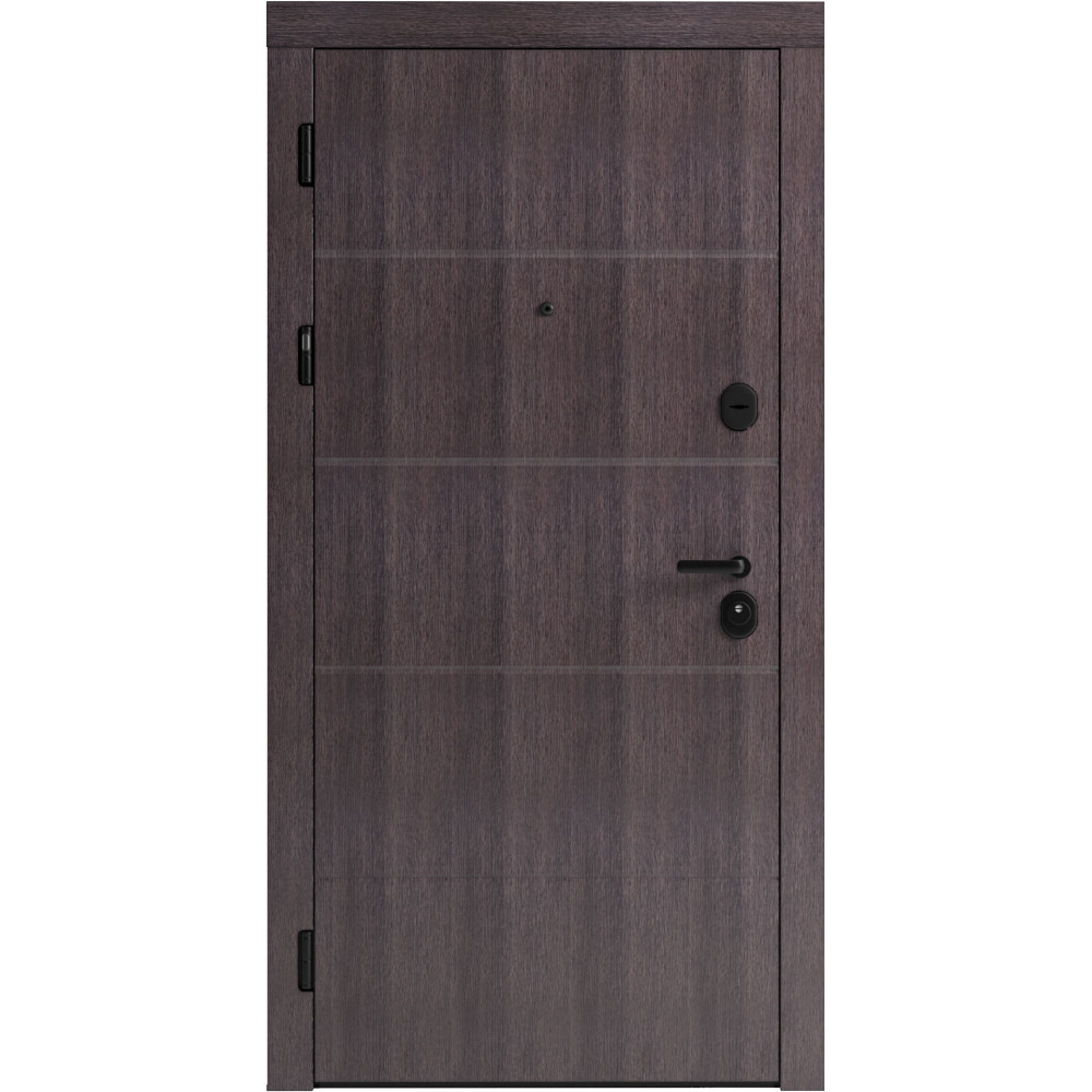 Вхідні двері F 107 для вулиці