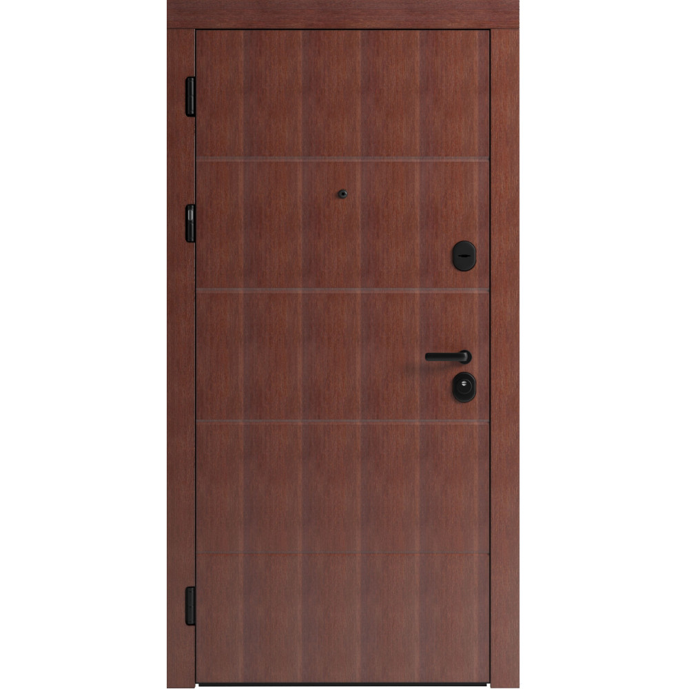 Вхідні двері F 107 для вулиці