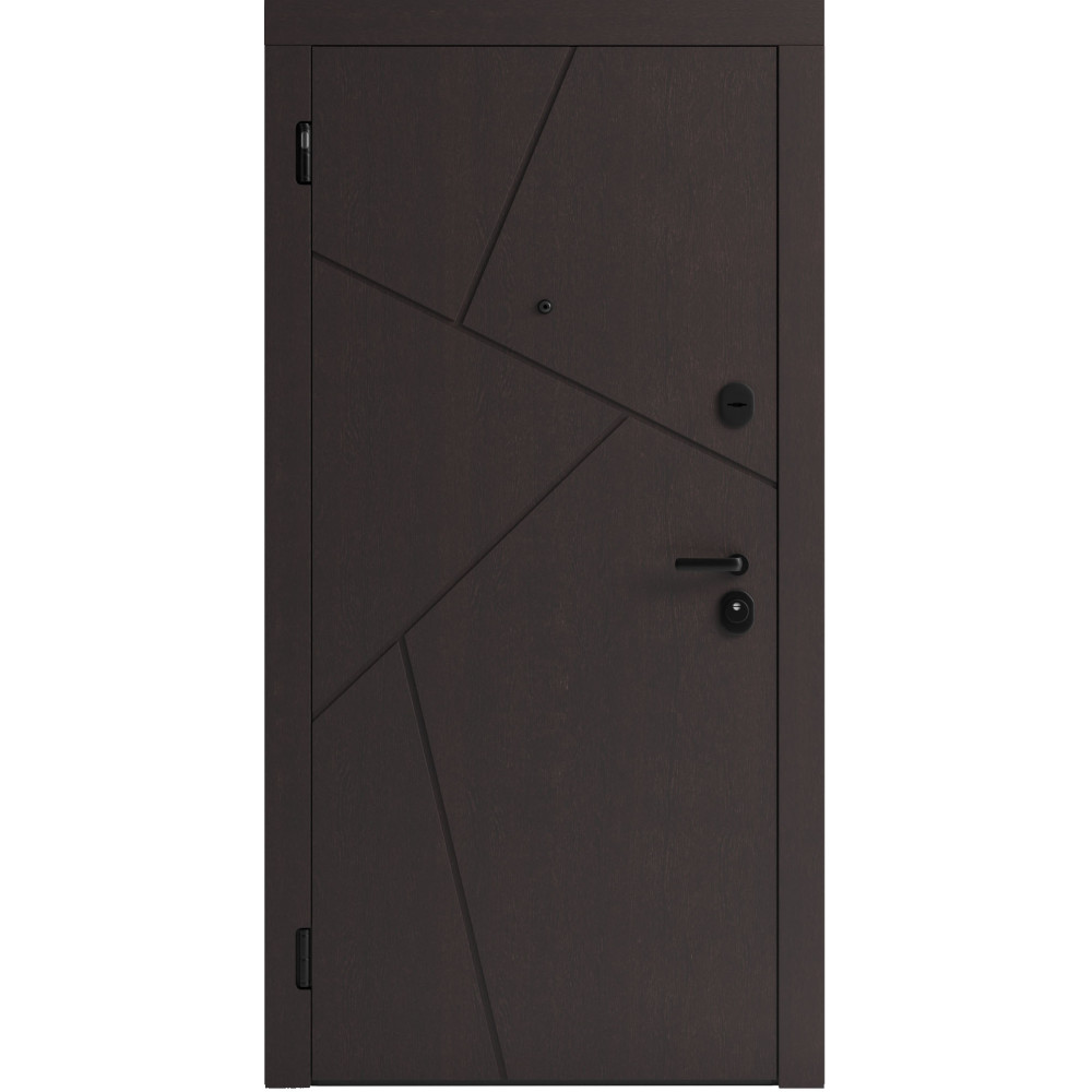 Вхідні двері F 108 для вулиці