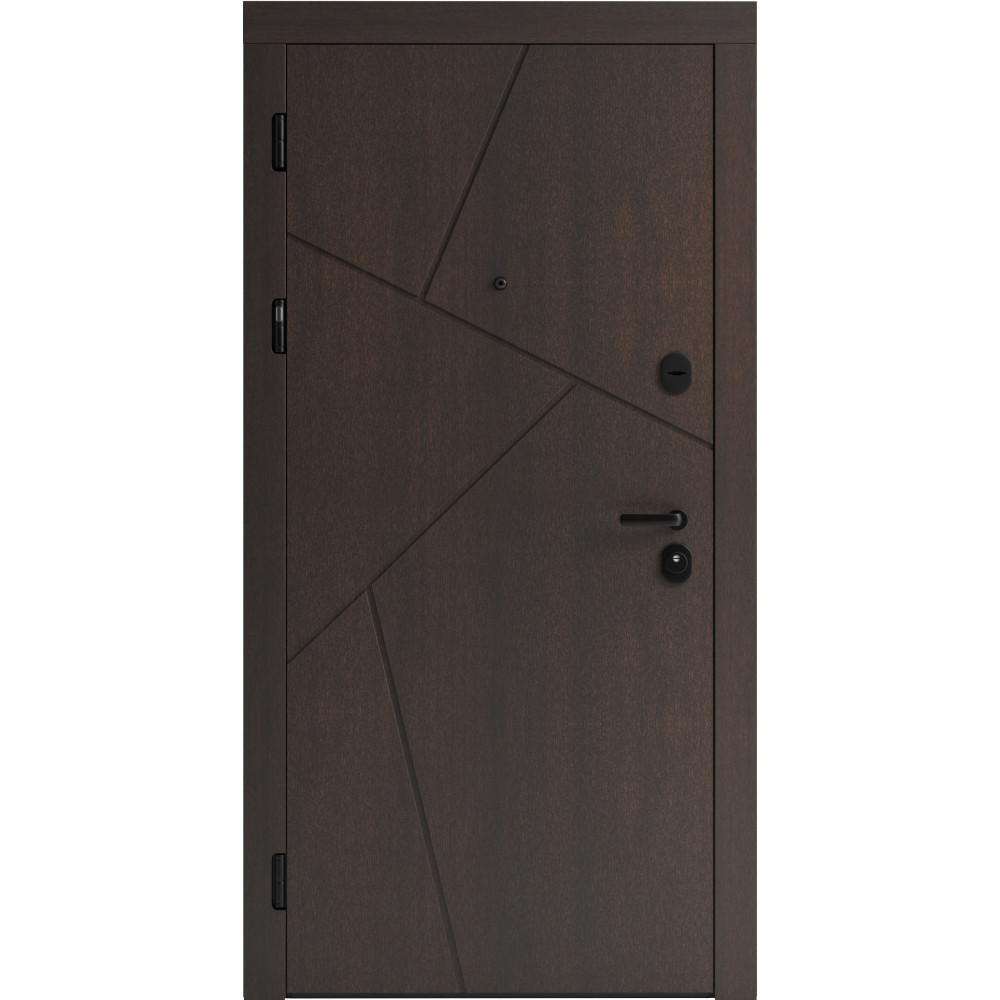 Вхідні двері F 108 для вулиці