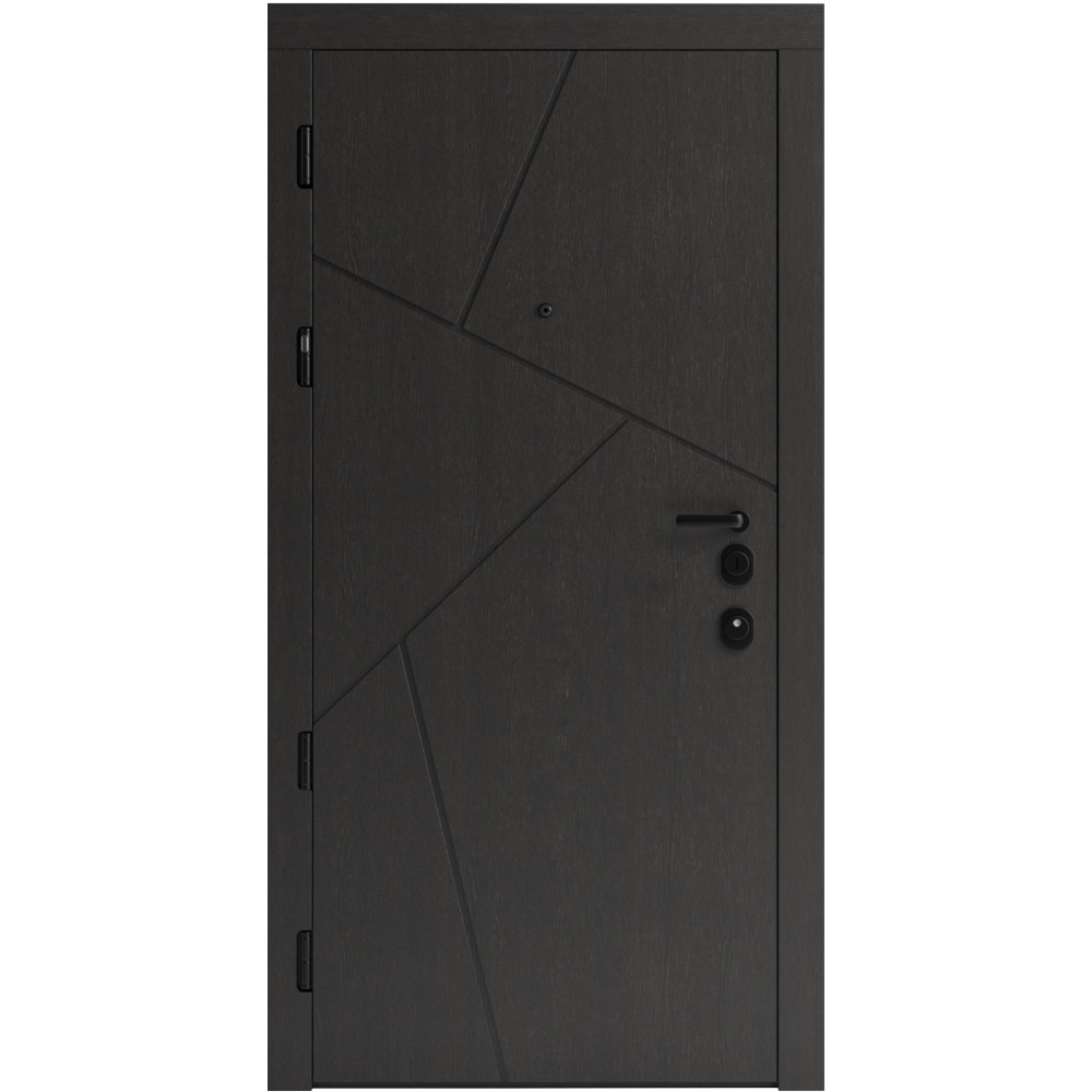 Вхідні двері F 108 для вулиці