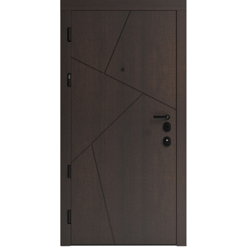 Вхідні двері F 108 для вулиці