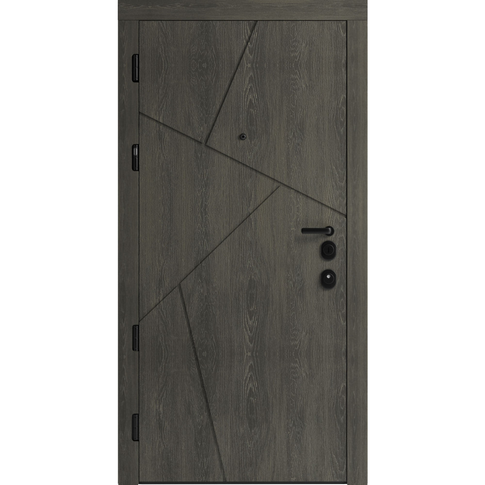 Вхідні двері F 108 для вулиці