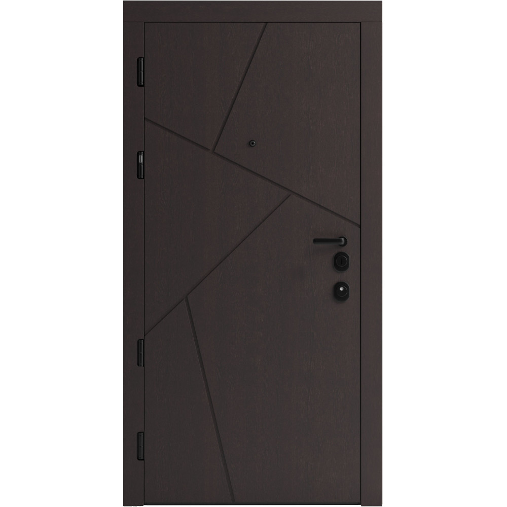 Вхідні двері F 108 для вулиці