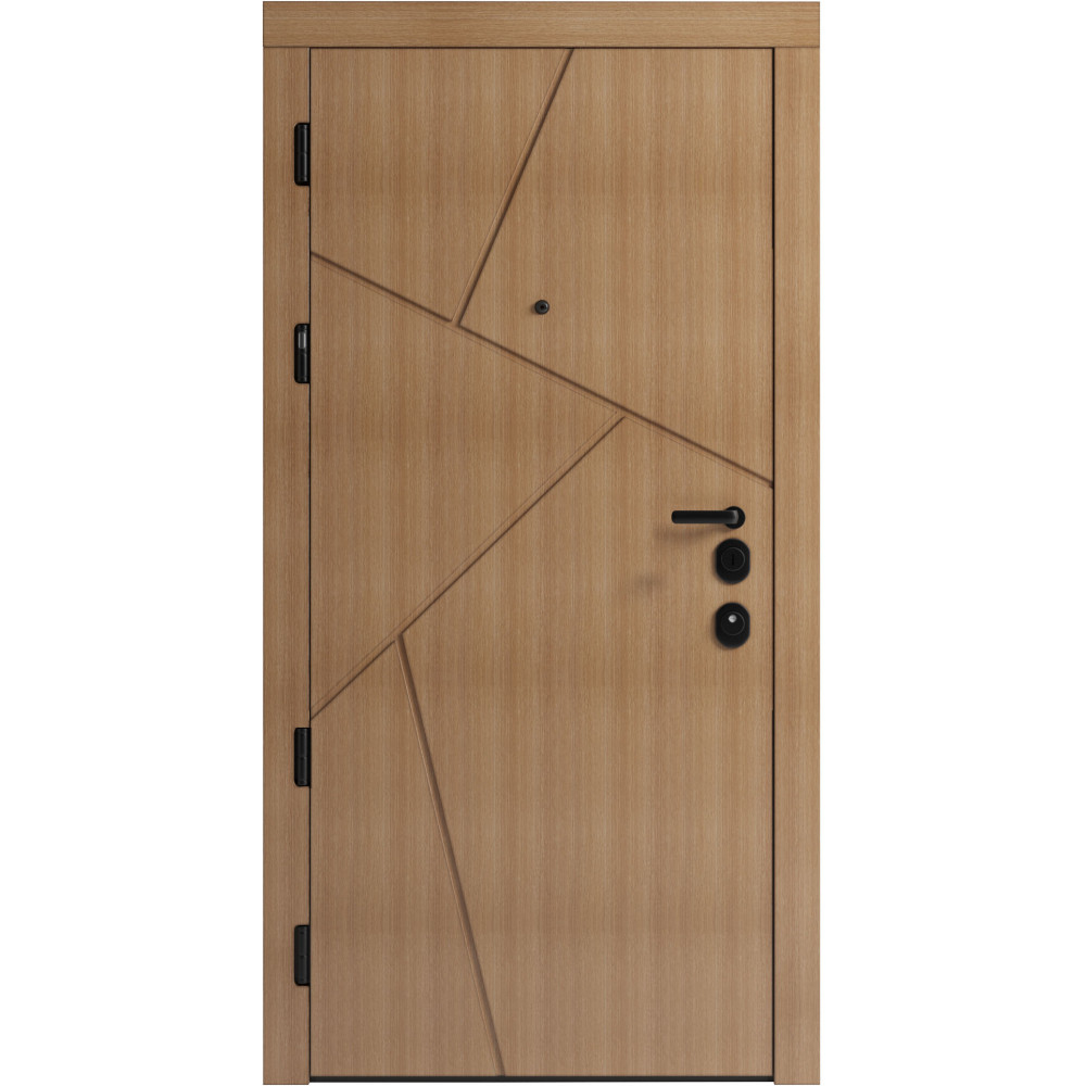 Вхідні двері F 108 для вулиці