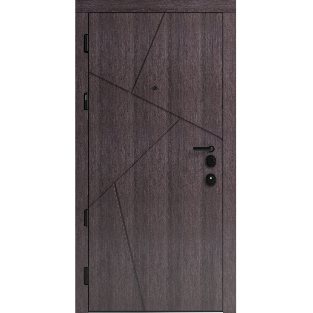 Вхідні двері F 108 для вулиці