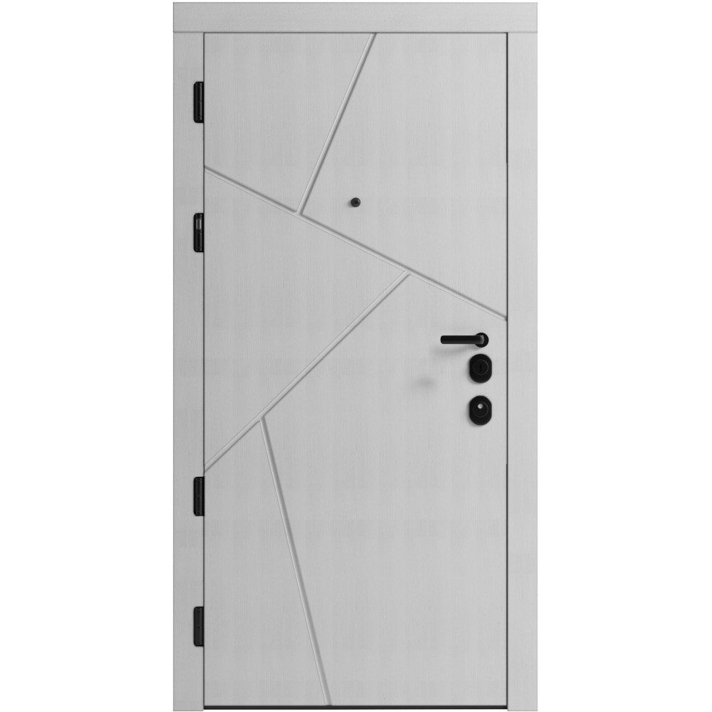 Вхідні двері F 108 для вулиці