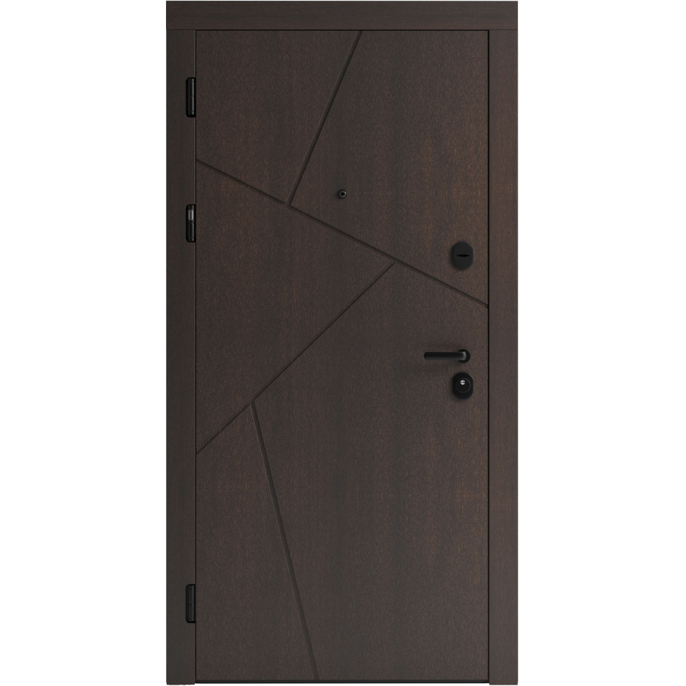 Вхідні двері F 108 для вулиці