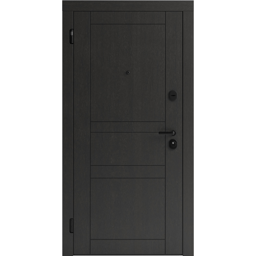 Вхідні двері F 109 вулиці