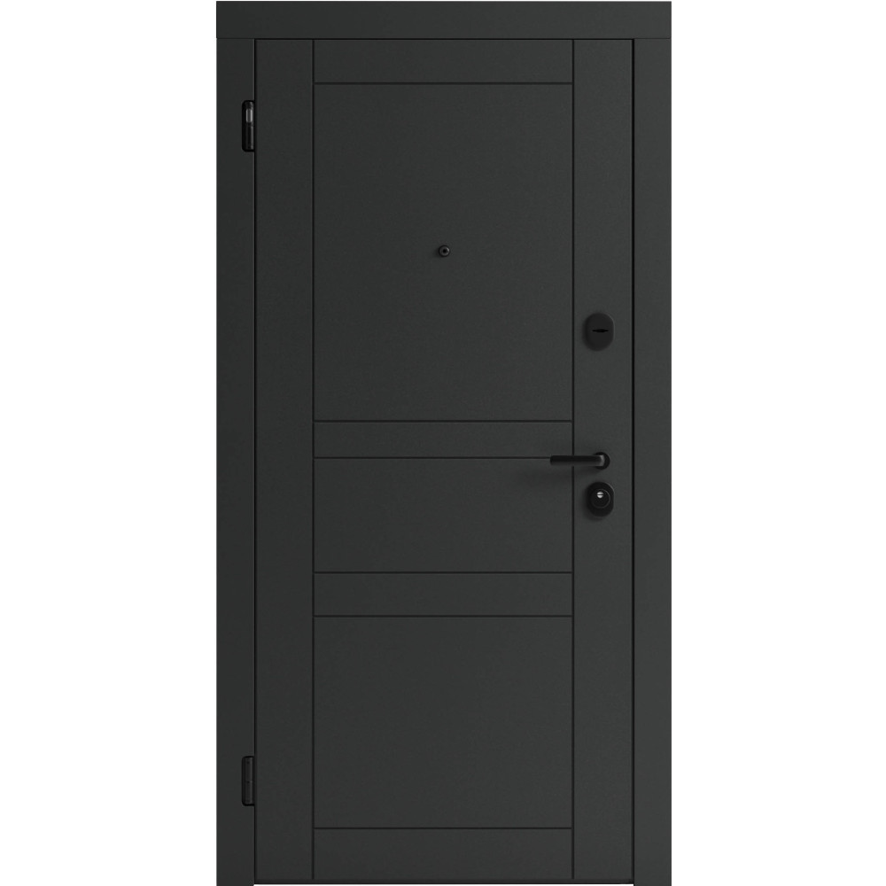 Вхідні двері F 109 вулиці