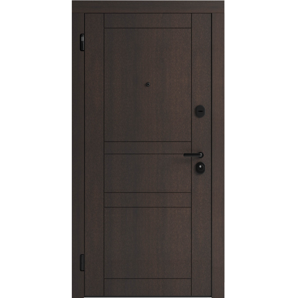 Вхідні двері F 109 вулиці