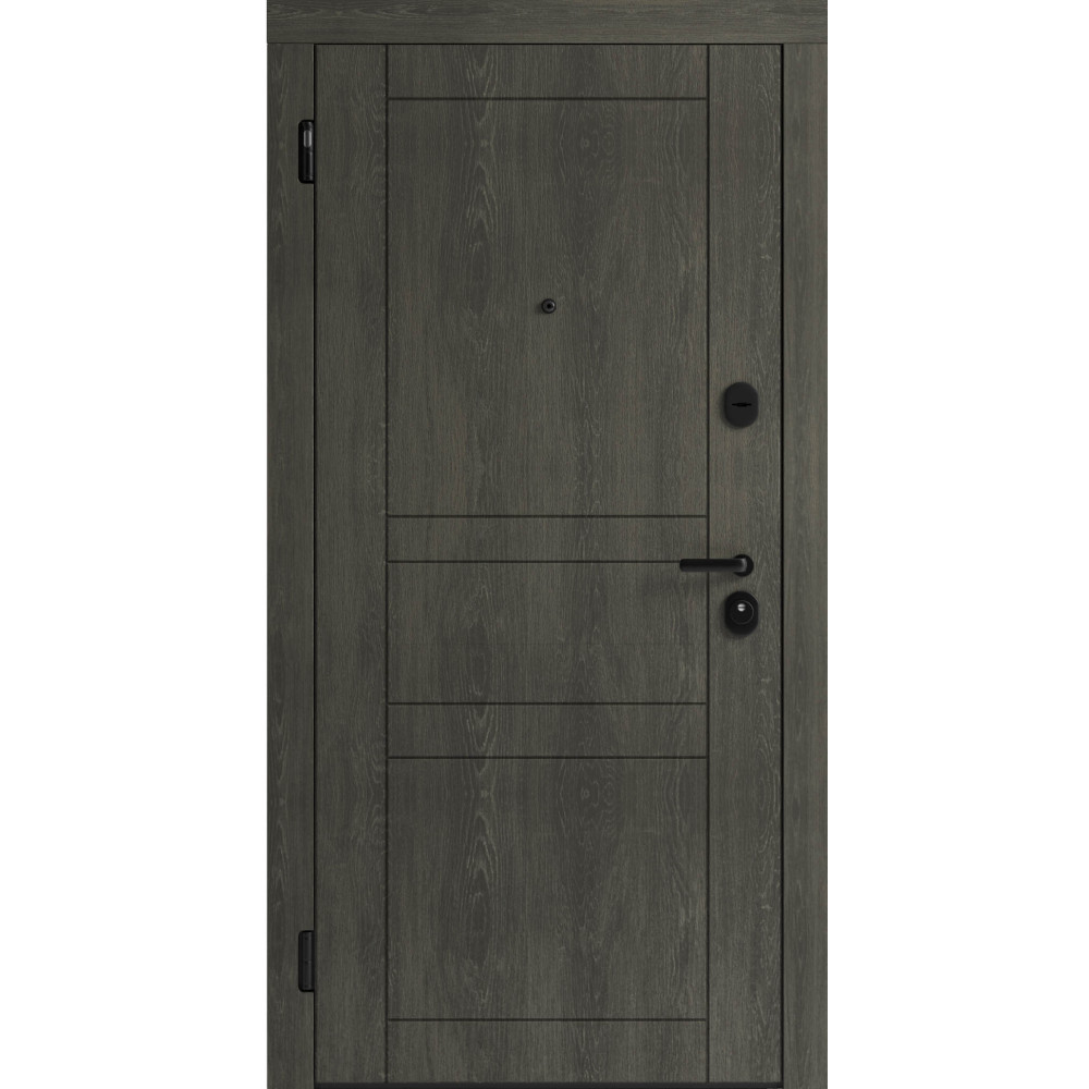 Вхідні двері F 109 вулиці