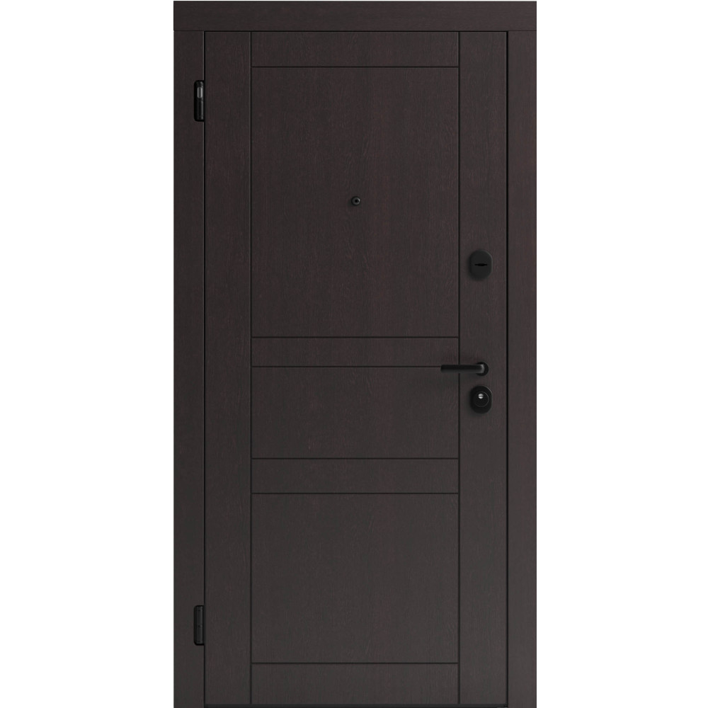 Вхідні двері F 109 вулиці