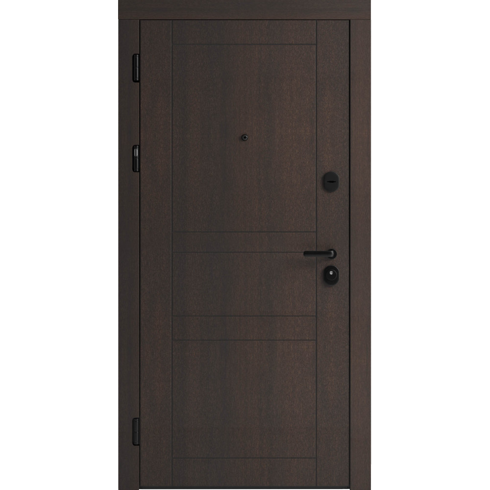 Вхідні двері F 109 вулиці