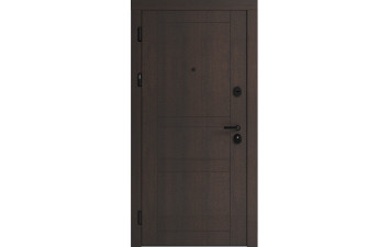 Вхідні двері F 109 вулиці