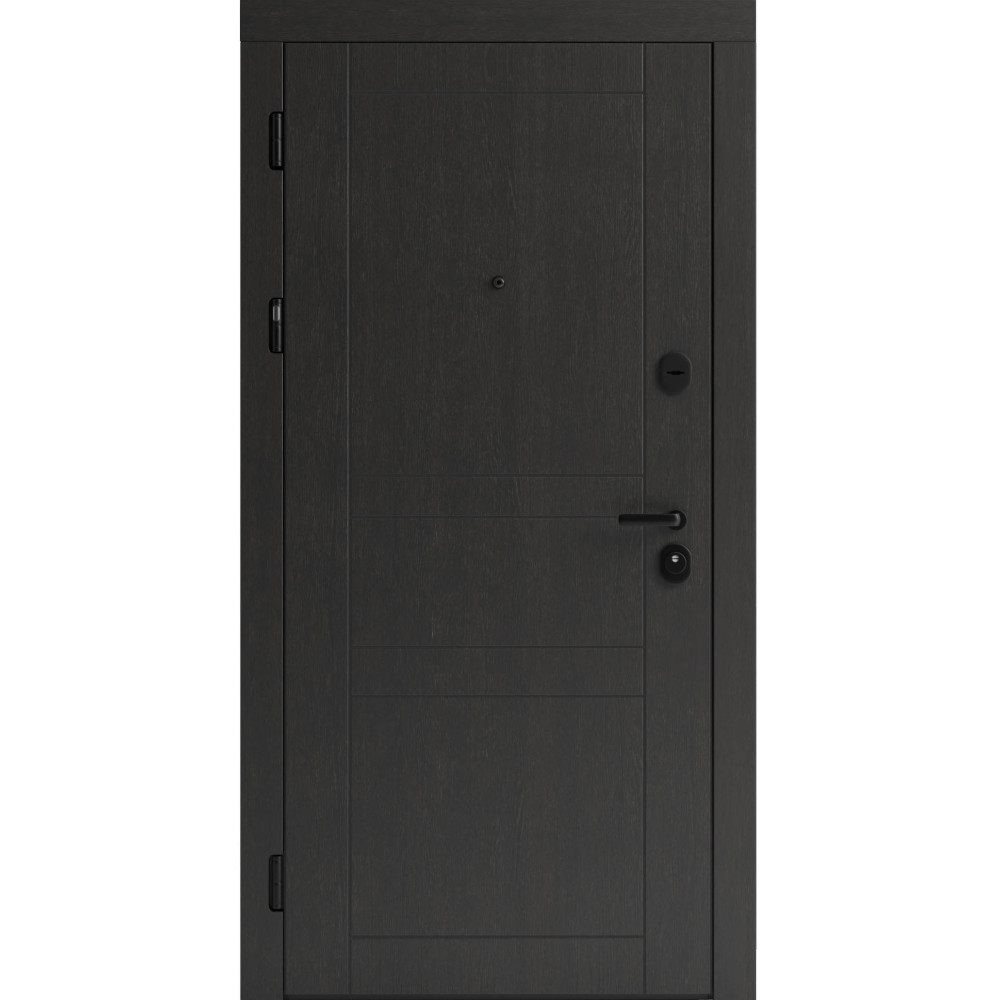 Вхідні двері F 109 вулиці