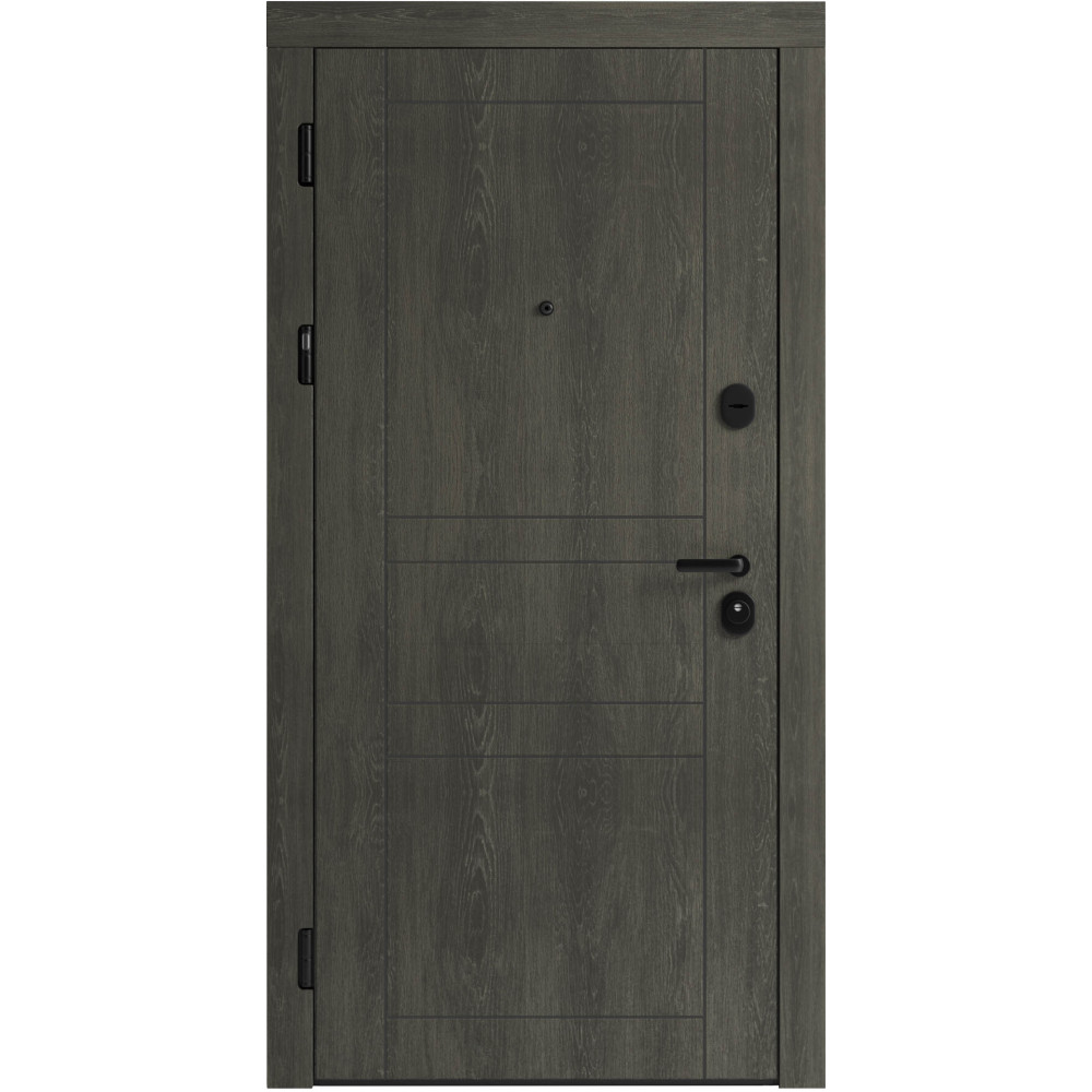 Вхідні двері F 109 вулиці