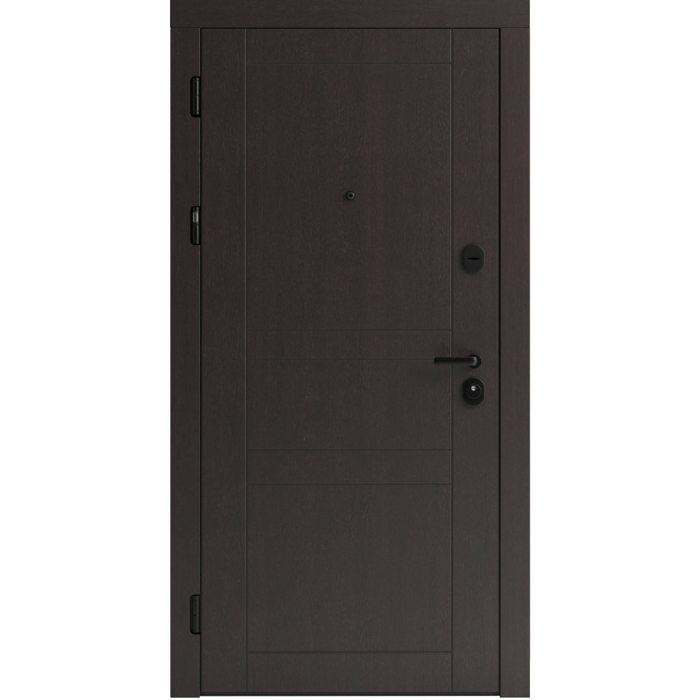 Вхідні двері F 109 вулиці