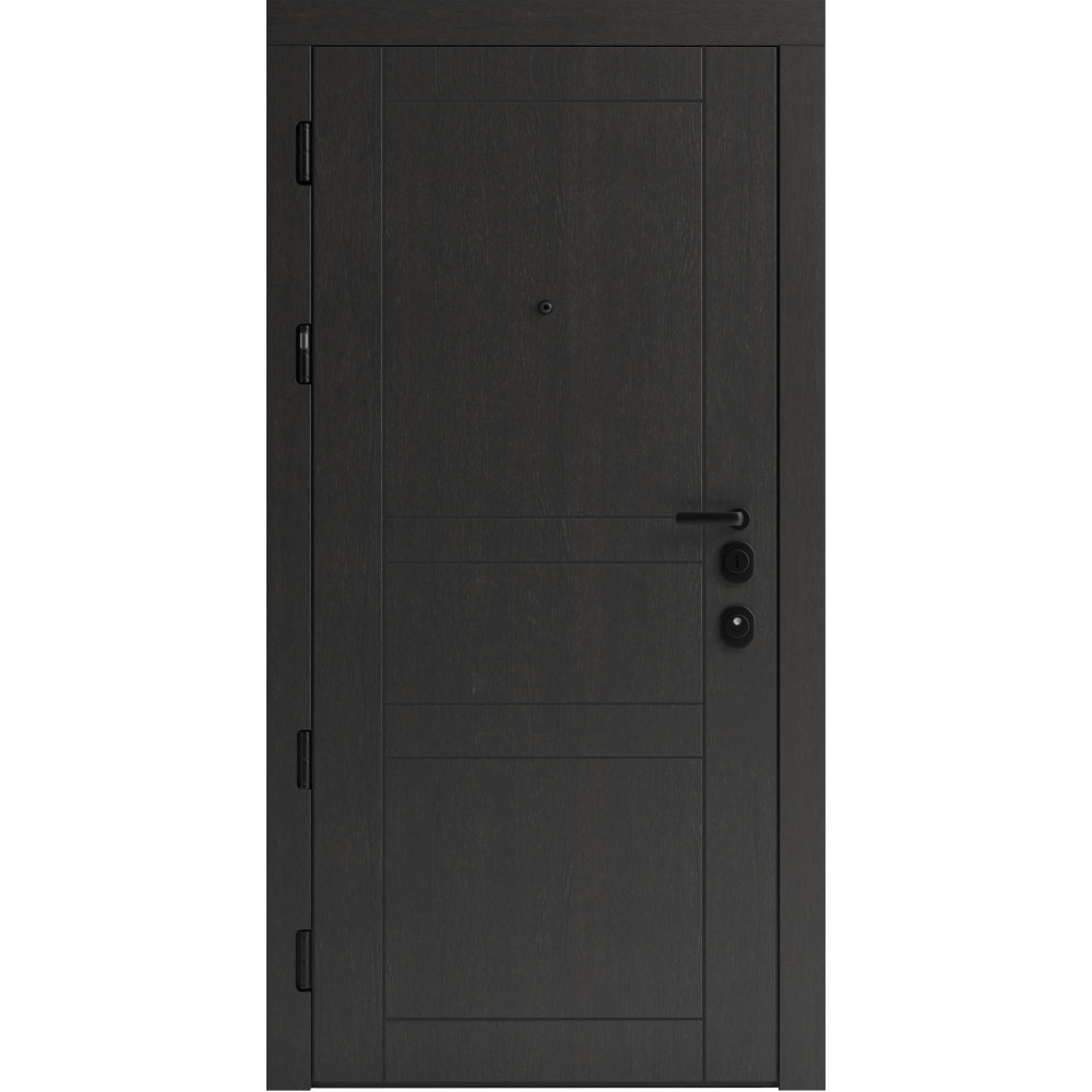 Вхідні двері F 109 вулиці