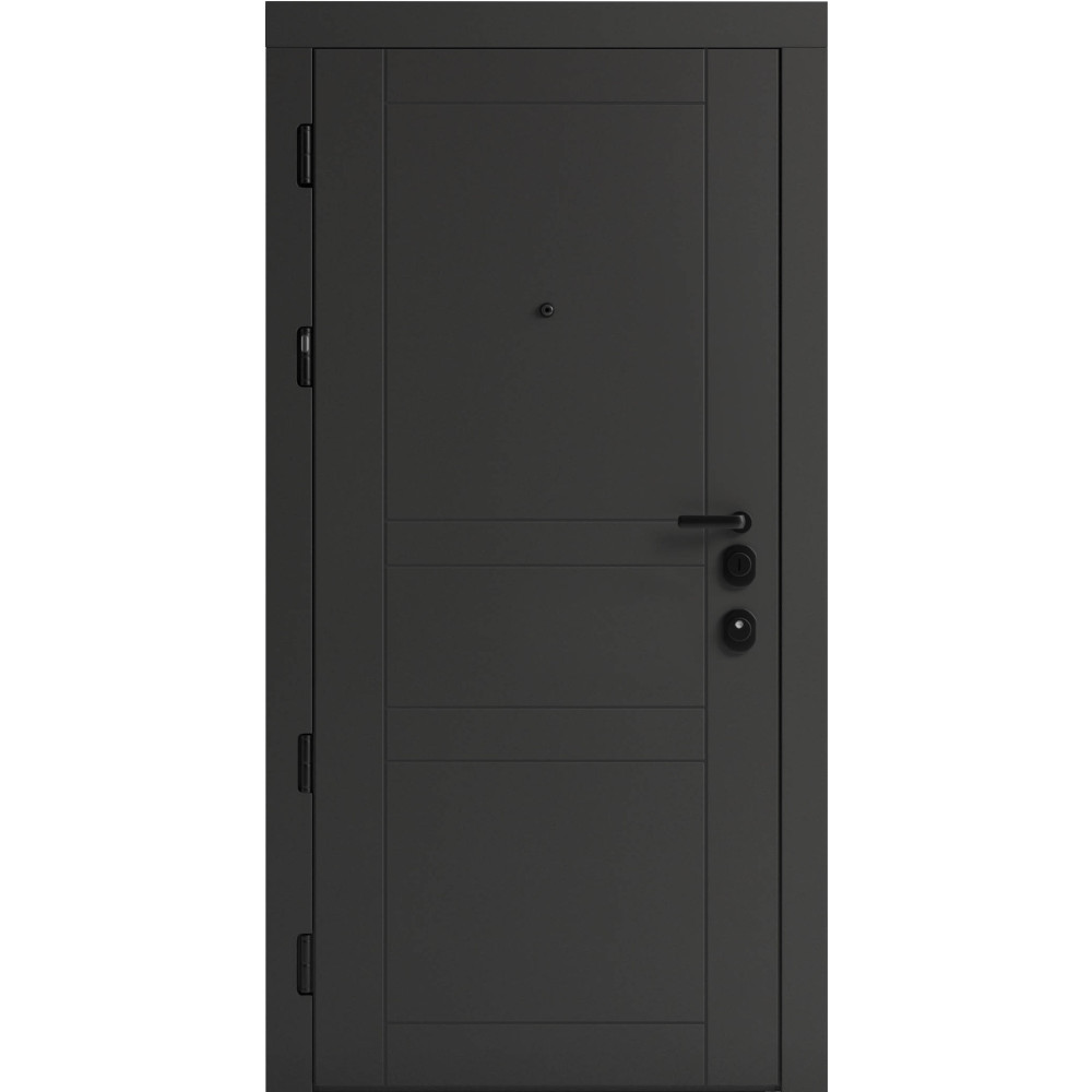 Вхідні двері F 109 вулиці