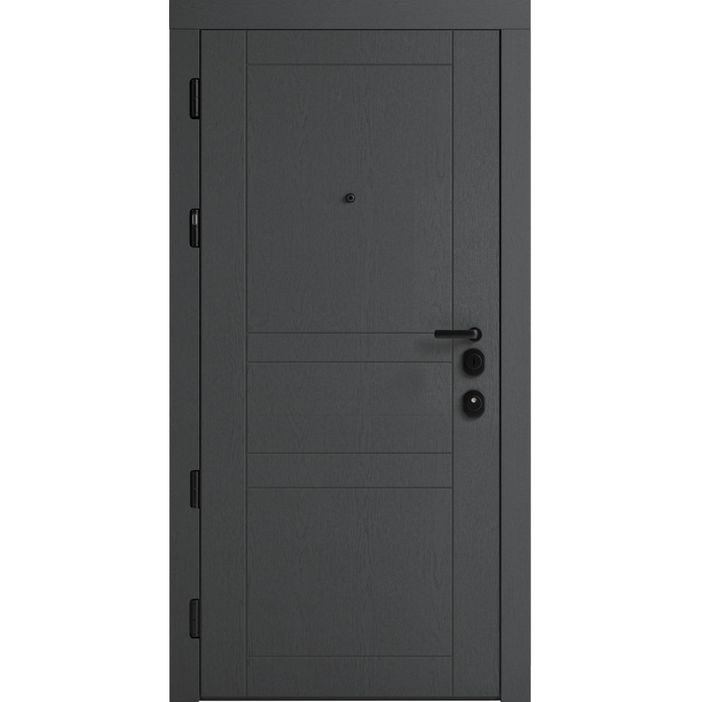 Вхідні двері F 109 вулиці