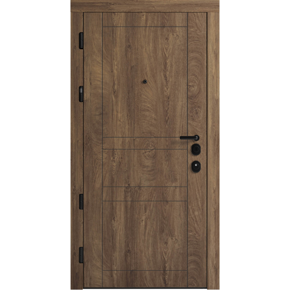 Вхідні двері F 109 вулиці