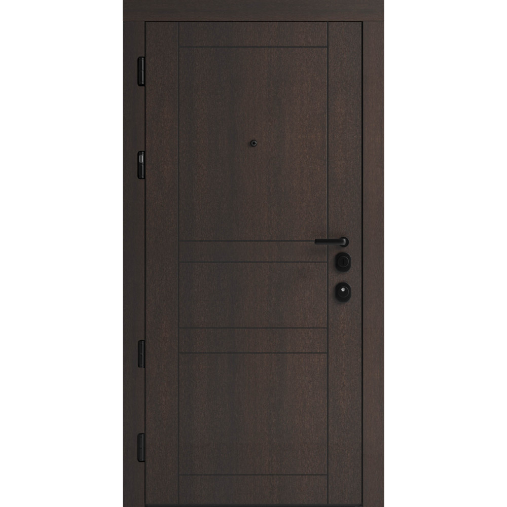 Вхідні двері F 109 вулиці