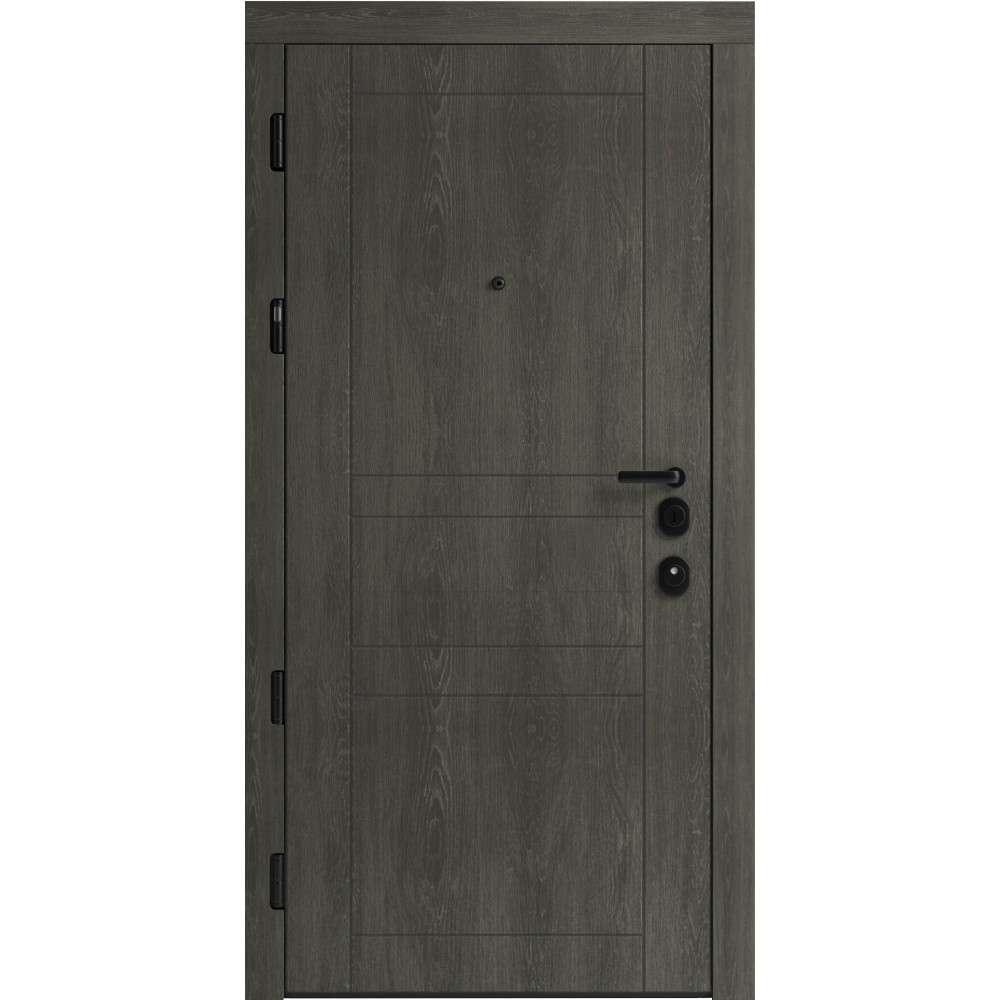 Вхідні двері F 109 вулиці