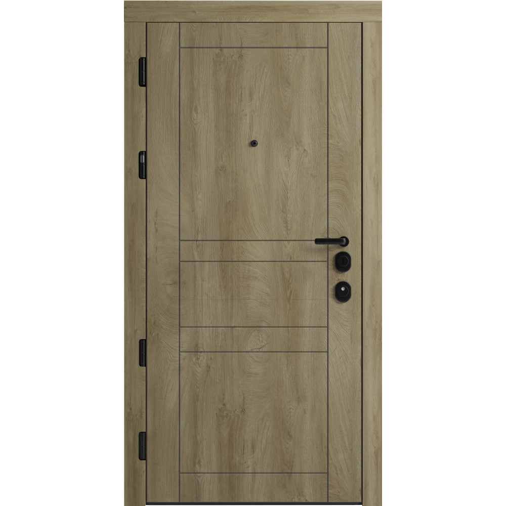 Вхідні двері F 109 вулиці