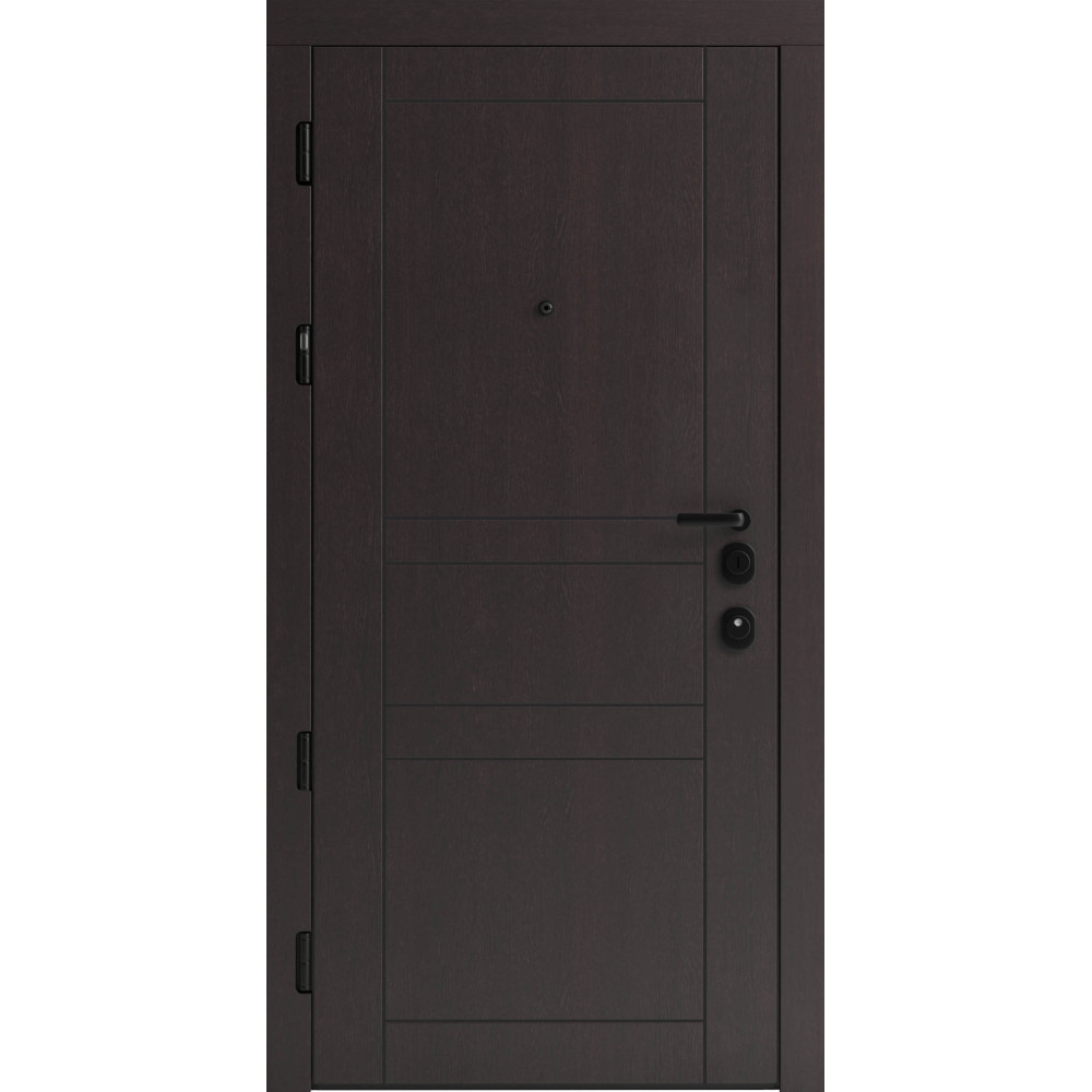 Вхідні двері F 109 вулиці