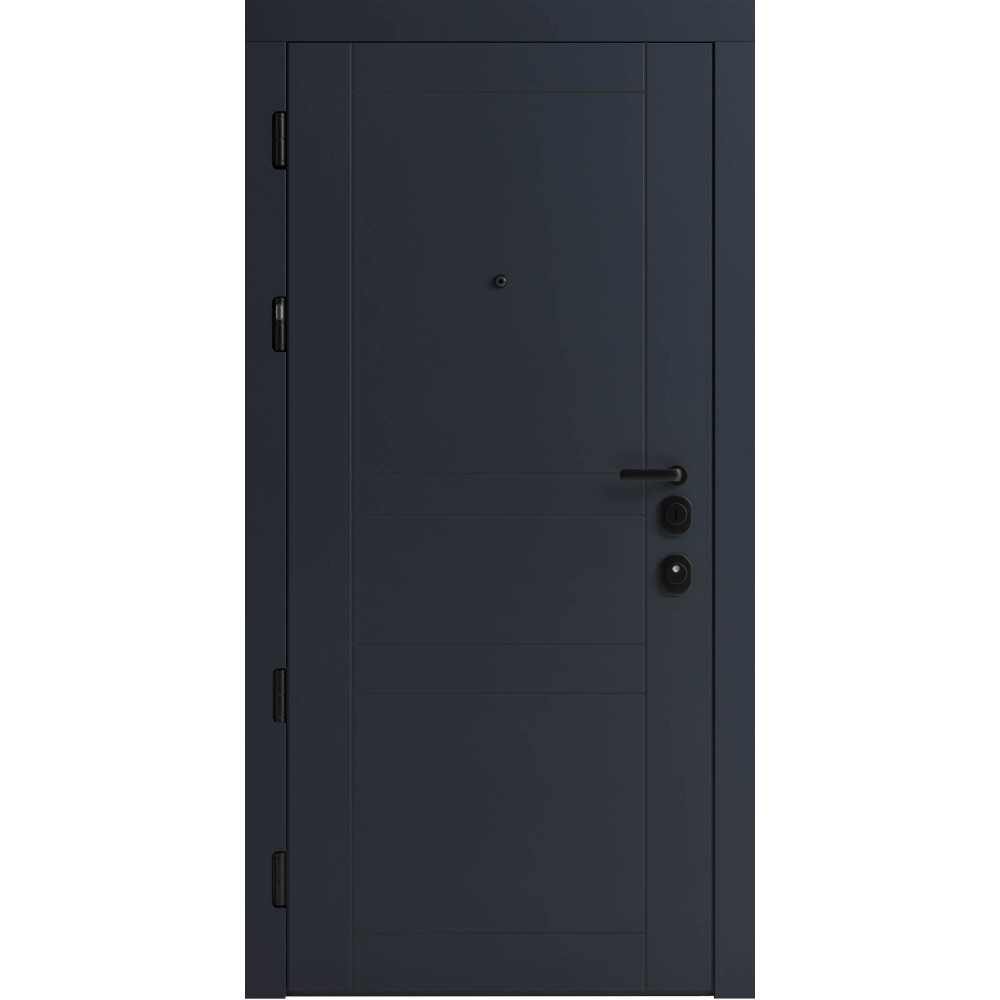 Вхідні двері F 109 вулиці