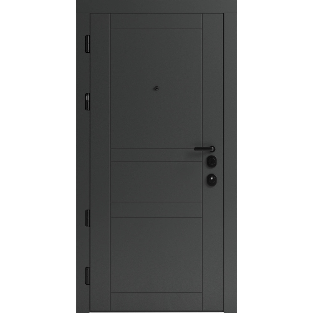 Вхідні двері F 109 вулиці