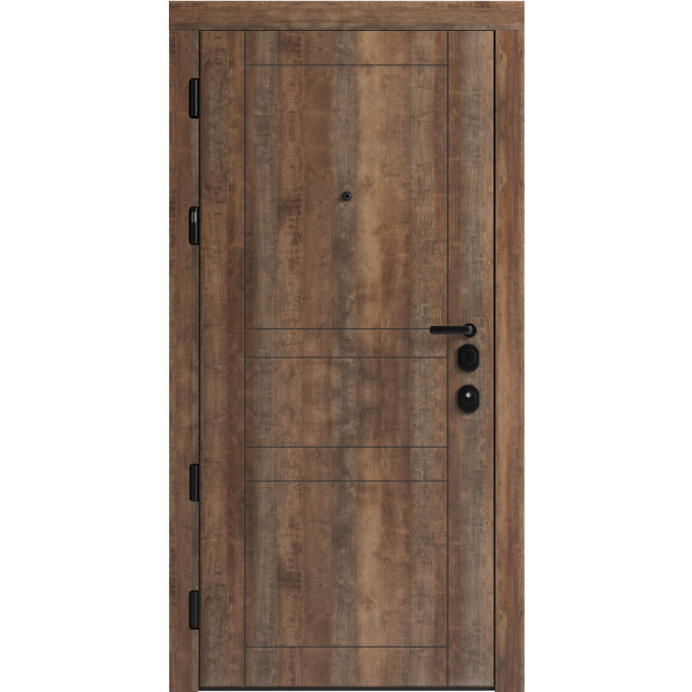 Вхідні двері F 109 вулиці