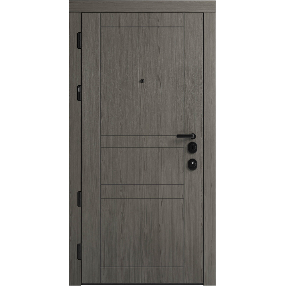 Вхідні двері F 109 вулиці